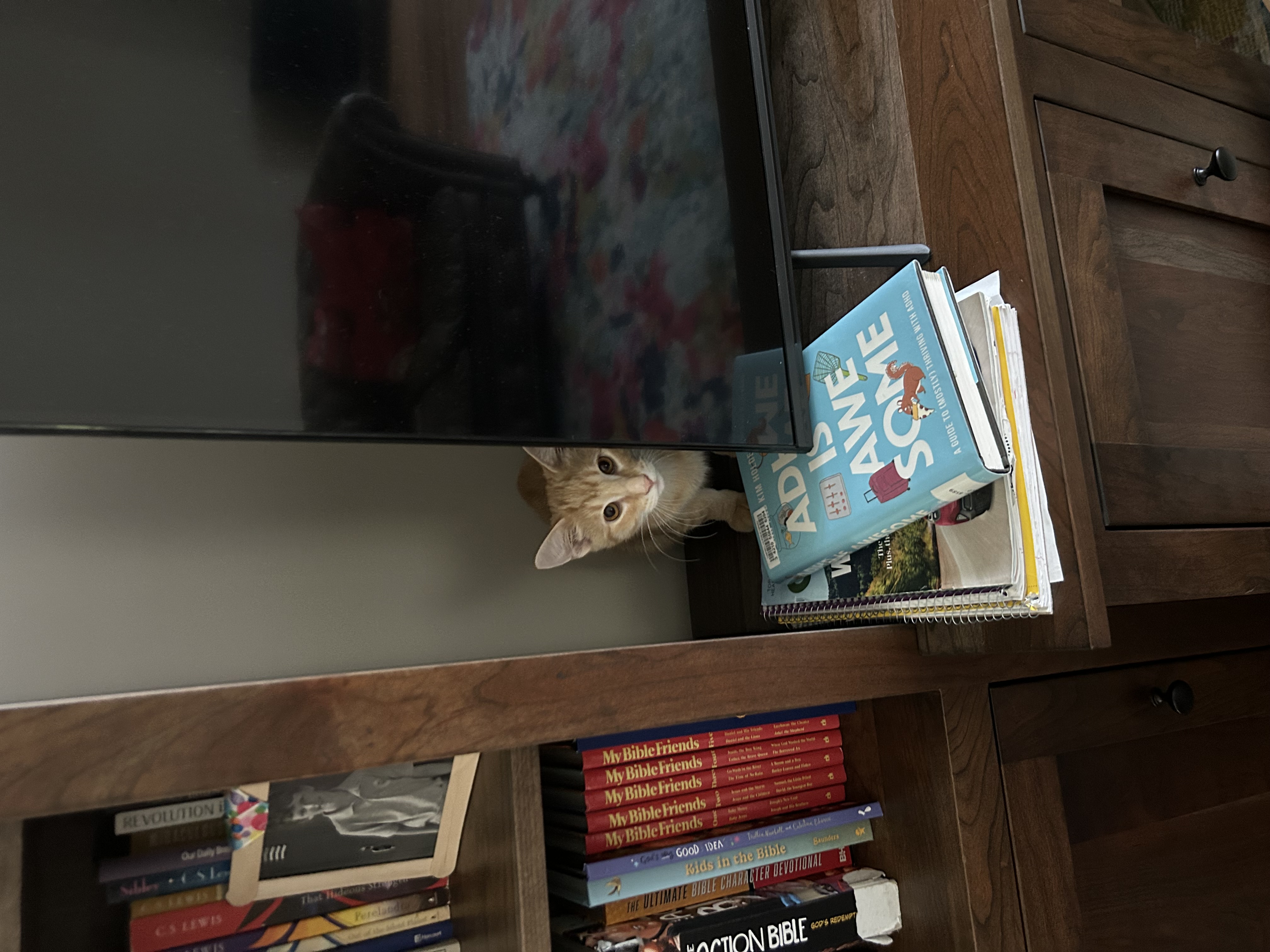 Jif behind a TV.